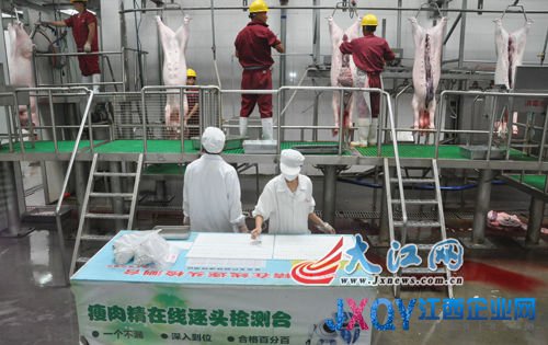 江西舉辦生豬定點屠宰企業開放日（時雨攝）