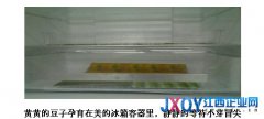 冰箱里養豆芽 美的冰箱再創“鮮”境界