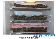 大閘蟹豐收季 小天鵝冰箱為“吃貨”增新鮮