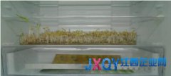 玩轉終端差異化 美的冰箱一馬當“鮮”