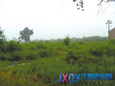 中糧“缺糧”豪賭孫河地塊 最高地價再創新高